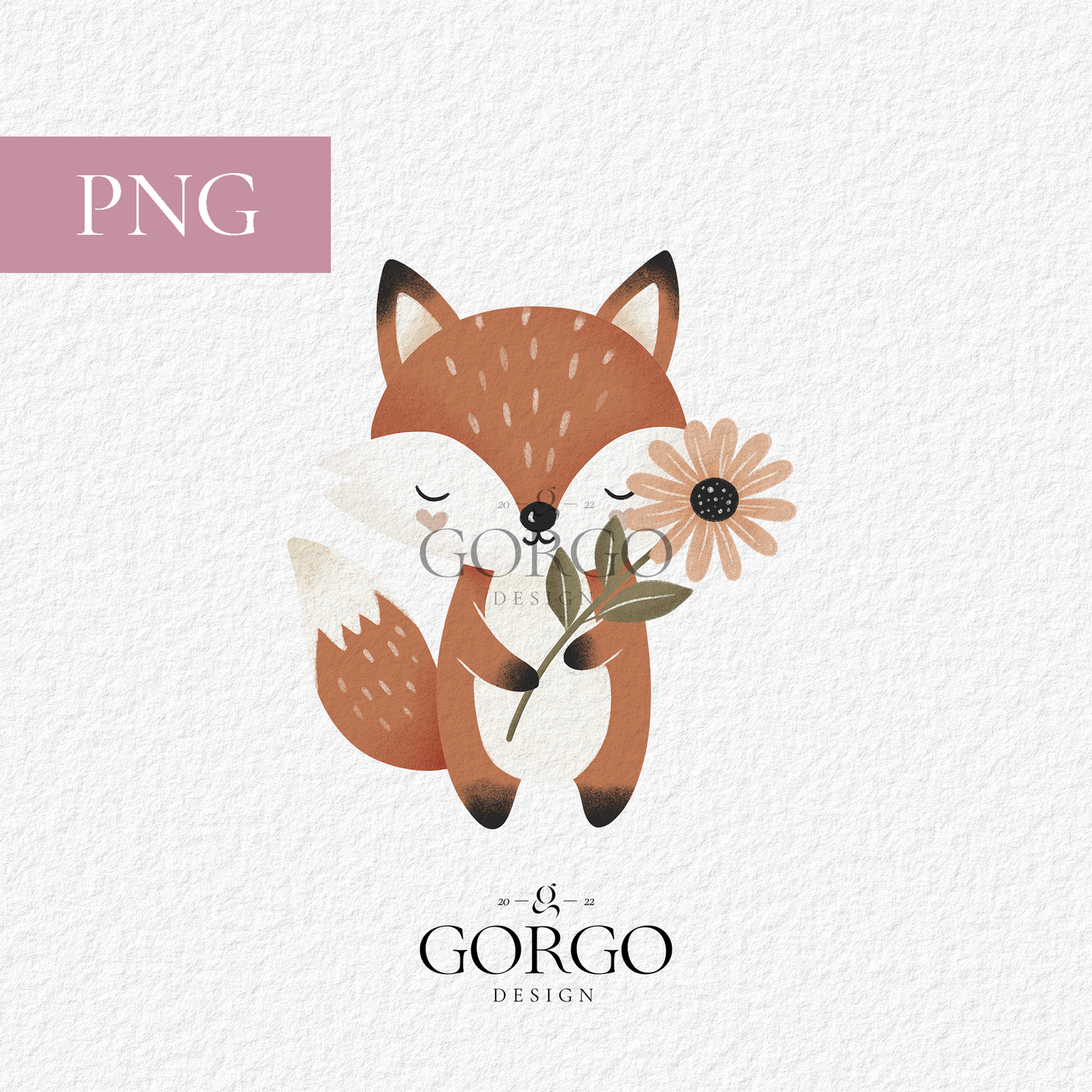 Cute boho Fox PNG